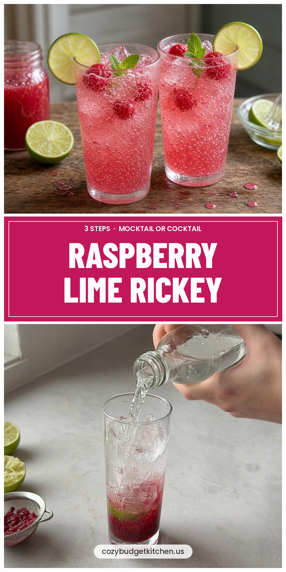 raspberry lime rickey pin